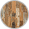 iconImg